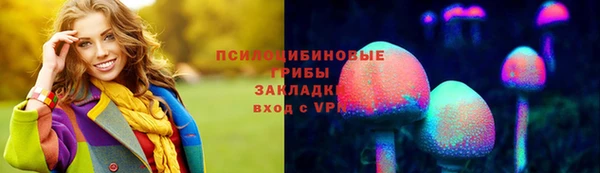МДПВ Алзамай